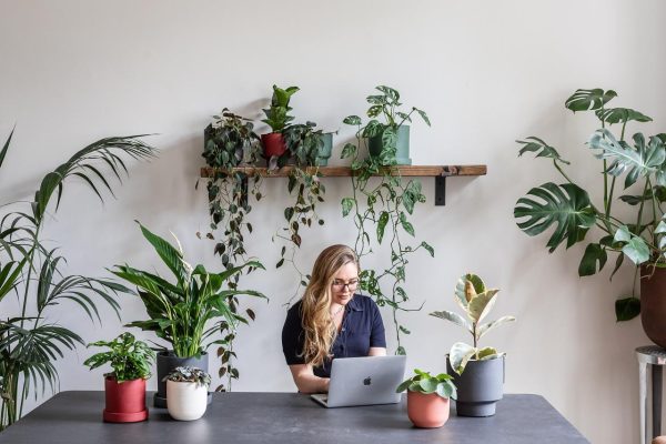 5 Benefits of Bringing Plants into Your Home – Leaf Envy