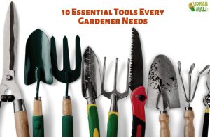 10 Essential Tools Every Gardener Needs – UrbanMali