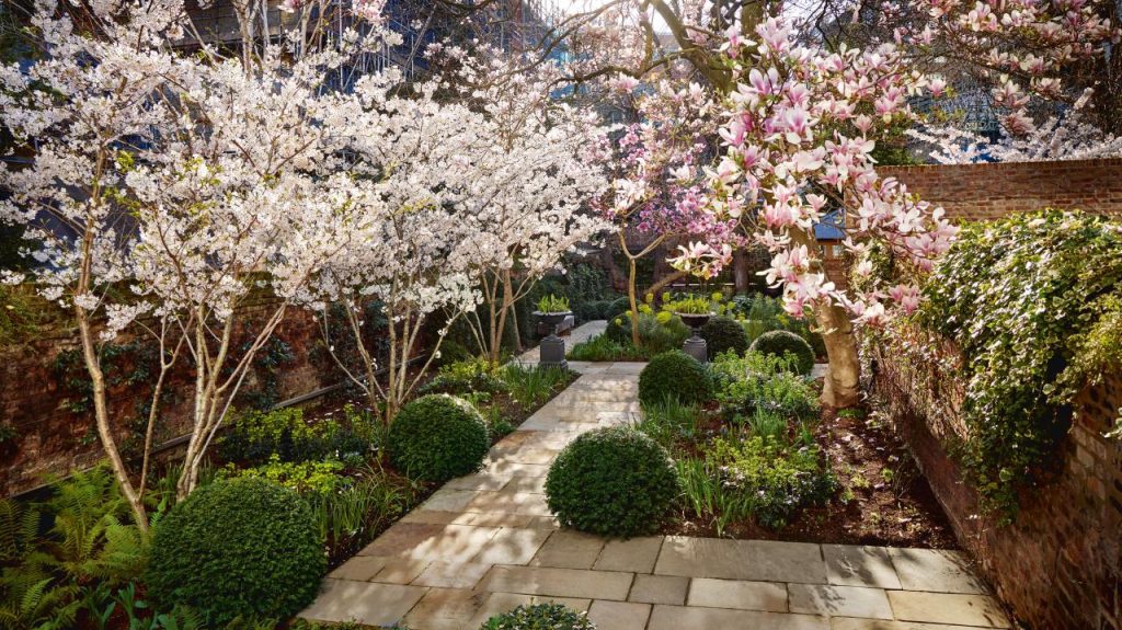 A secret London garden bursting into life as spring takes hold | House &  Garden