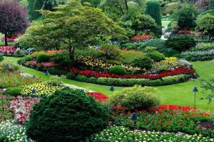15 Landscaping Ideas You'll Love - Blue Grass Nursery
