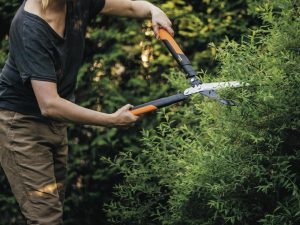 Essential Tools To Prune Your Garden - Bunnings Australia