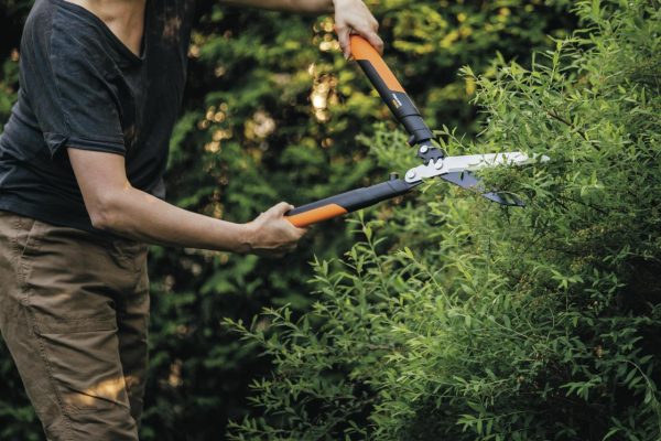 Essential Tools To Prune Your Garden - Bunnings Australia