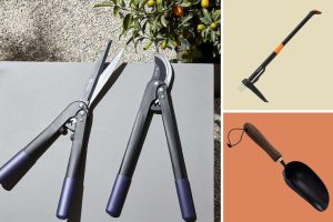 10 Must-Have Basic Gardening Tools