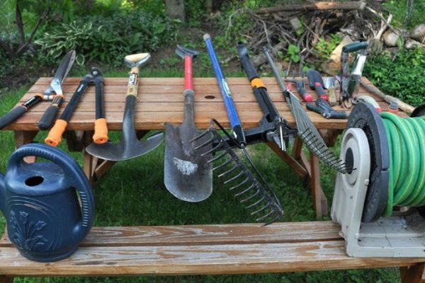 Essential Garden Tool Guide for Beginners