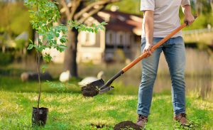 Digging Tools Buying Guide - The Home Depot