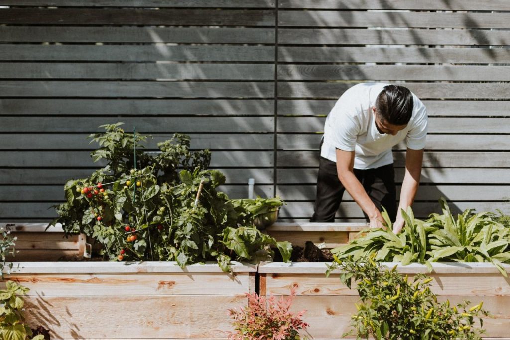 Green Thumb Confidential: Unveiling the Insider Secrets of Organic Gardening  for Beginners — Green and Prosperous