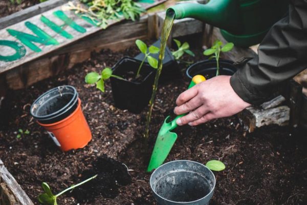 Gardening at School Benefits Everyone - SOUL Blog