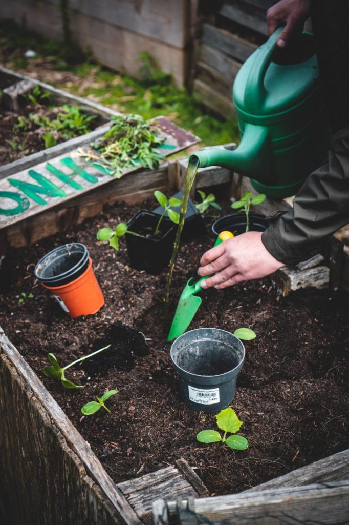 Gardening at School Benefits Everyone - SOUL Blog