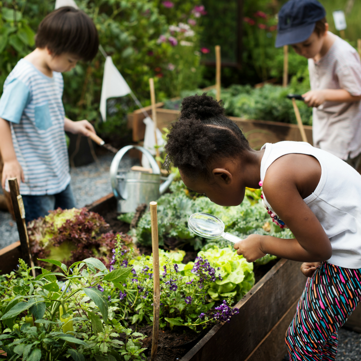 How to Get Kids Gardening this Summer - MomTrends