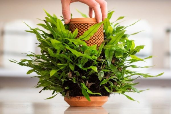 Inside-out Hydroponic Terraplanter Grows Plants on the Outside Sans Soil
