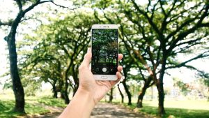 Best plant identification apps for mobile in 2024, tested by our editors |  CNN Underscored