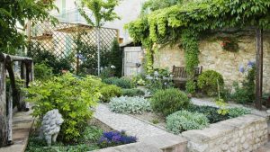Here Are The Top Landscaping Trends Of 2024 – Forbes Home