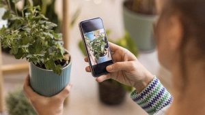 Take care of your garden with this discounted plant identification app |  Mashable