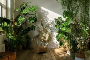 Bring Nature Indoors: Biophilic Design for Singapore Homes
