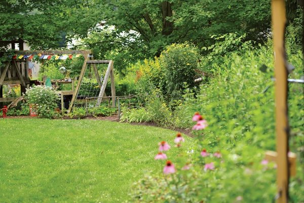How to Plant a Native Ohio Garden
